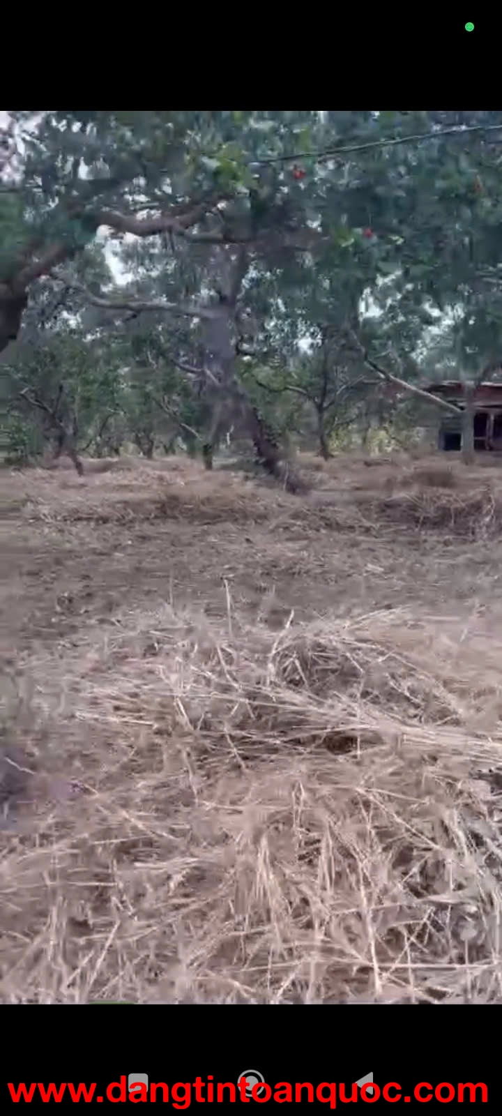 ĐẤT ĐẸP GIÁ TỐT – CẦN BÁN ĐẤT ĐẮK NGUYÊN – Xã Đắk Ngo, Huyện Tuy Đức, Đắk Nông