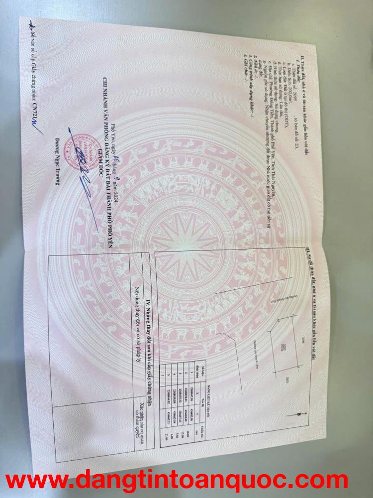 ►  CHÍNH CHỦ BÁN LÔ GÓC 202M² – VỊ TRÍ VÀNG CẠNH TTTM GO! PHỔ YÊN