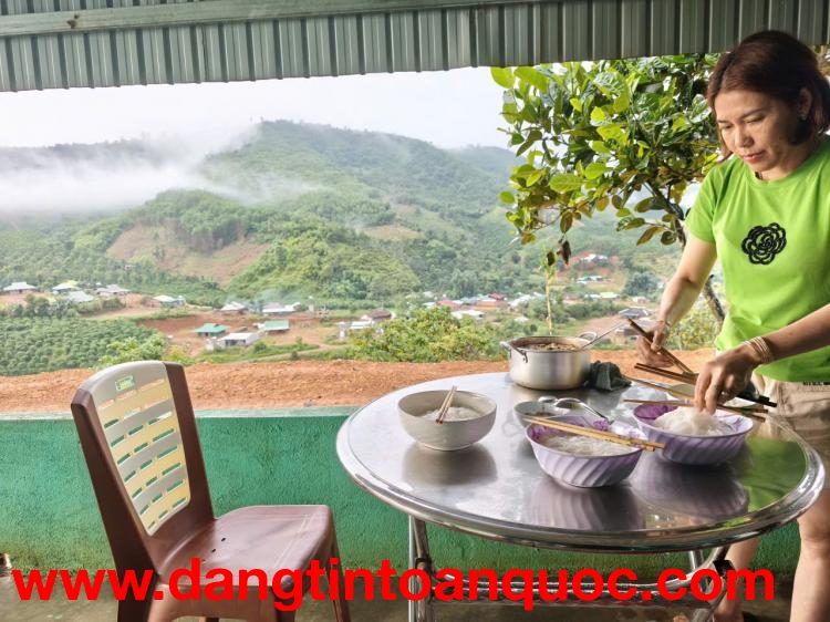 ►  SIÊU PHẨM 15HA VIEW ĐẸP HIẾM – FULL CÂY TRÁI + CAFE – LÀM FARM STAY CỰC ĐỈNH.
