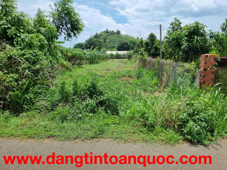 CẦN BÁN 1000m² ĐẤT MẶT TIỀN ĐƯỜNG NHỰA – LONG PHƯỚC, TP. BÀ RỊA (P. TAM LONG, TP. HCM)