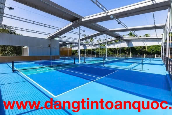 CHÍNH CHỦ CHO THUÊ CỤM 6 SÂN PICKLEBALL CHUẨN THI ĐẤU