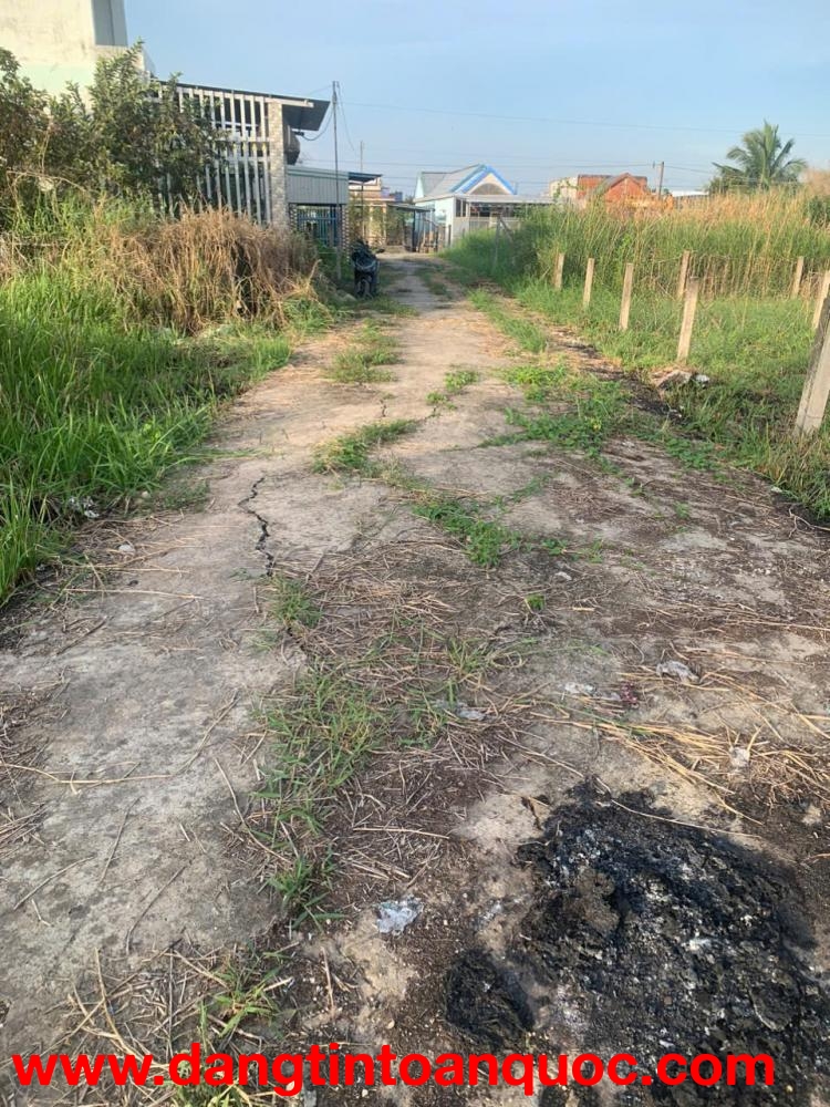 bán đất nền 100% thổ cư Tại Xã Mỹ Lệ, Huyện Cần Đước, Long An