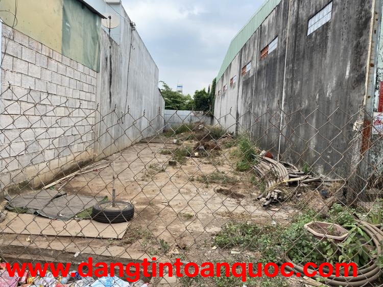 ĐẤT ĐẸP – CHÍNH CHỦ CẦN BÁN ĐẤT Đường Nguyễn Hoàng, Xã Thanh Bình, Huyện Trảng Bom, Đồng Nai.