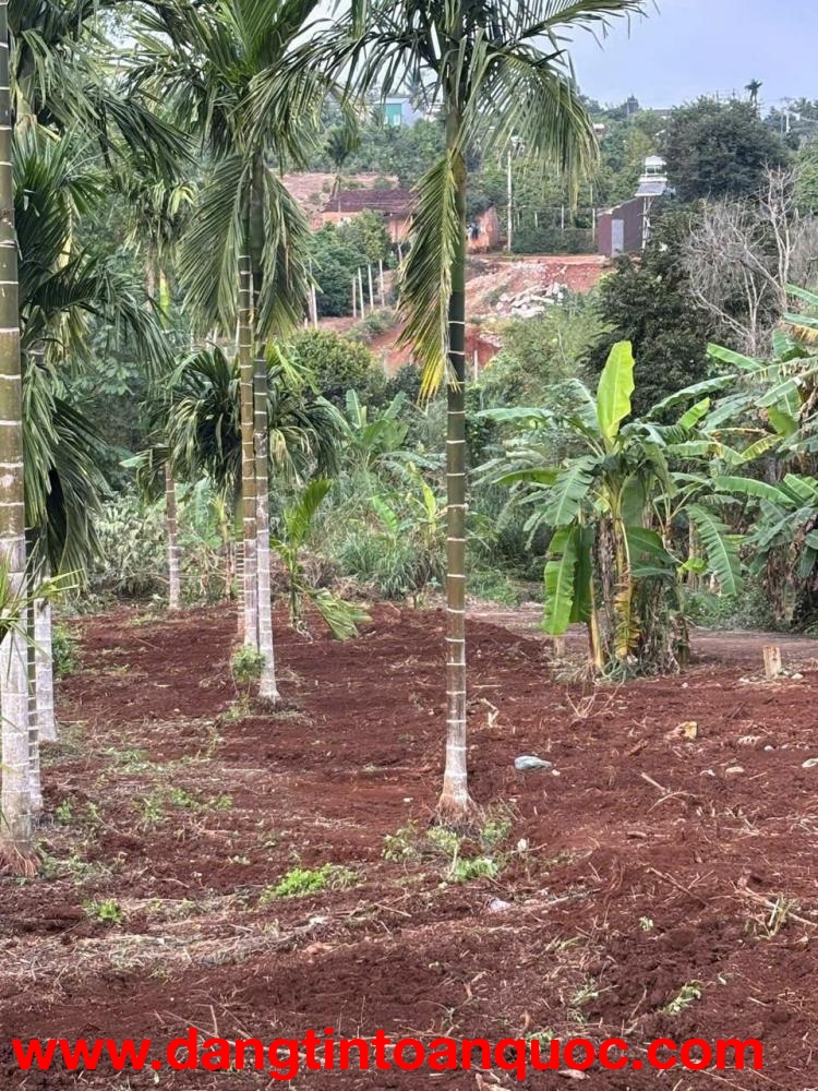 ĐẤT ĐẸP – GIÁ TỐT  – CHÍNH CHỦ CẦN BÁN 3 Lô Liền Kề Tại Phú Xuân - Krông Năng - Đắk Lắk