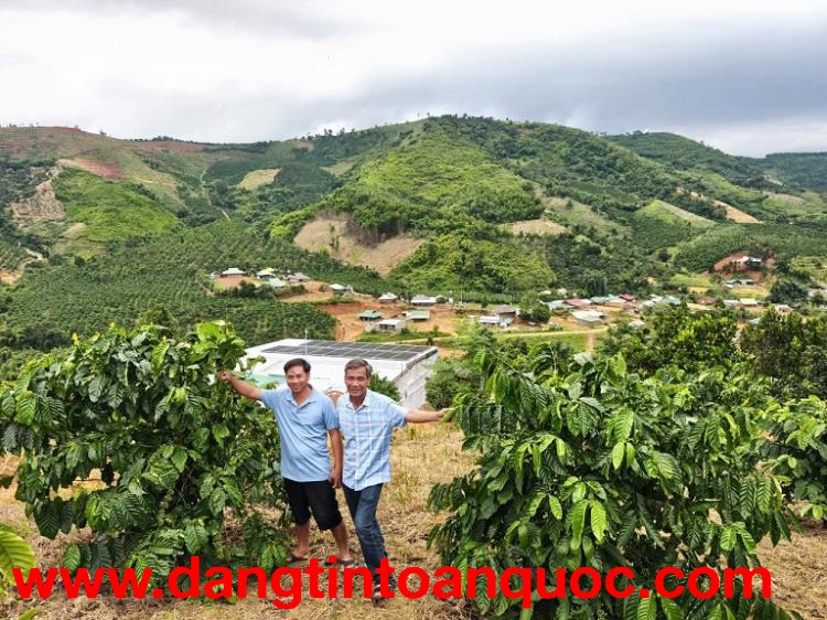 SIÊU PHẨM 15HA VIEW ĐẸP HIẾM – FULL CÂY TRÁI + CAFE – LÀM FARM STAY CỰC ĐỈNH.