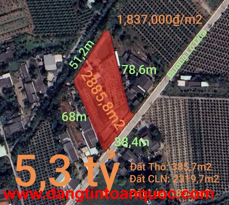 Bán đất thổ vườn đường Lộ Dừa giá 5,3 tỷ