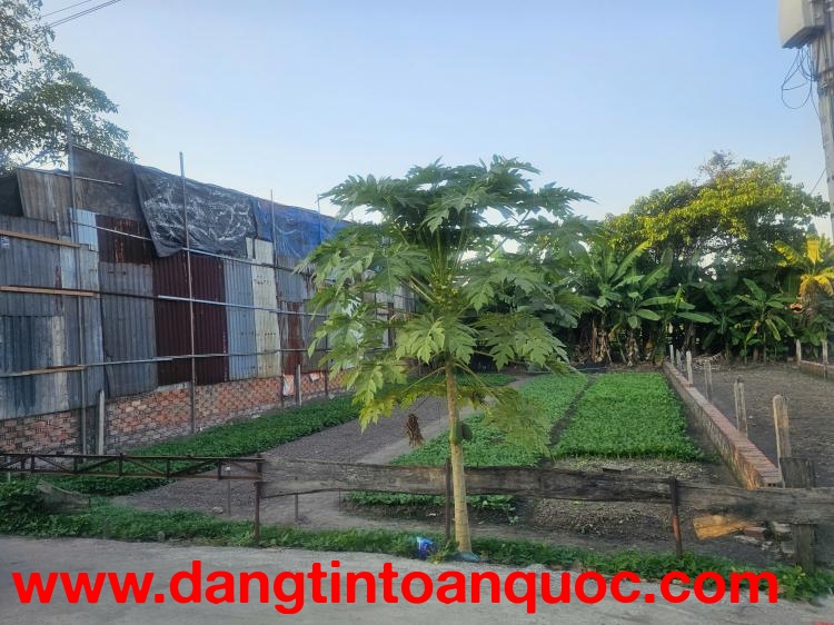 BÁN NHANH LÔ ĐẤT ĐẸP HẺM XE HƠI – GIÁ TỐT TẠI BÌNH CHÁNH.