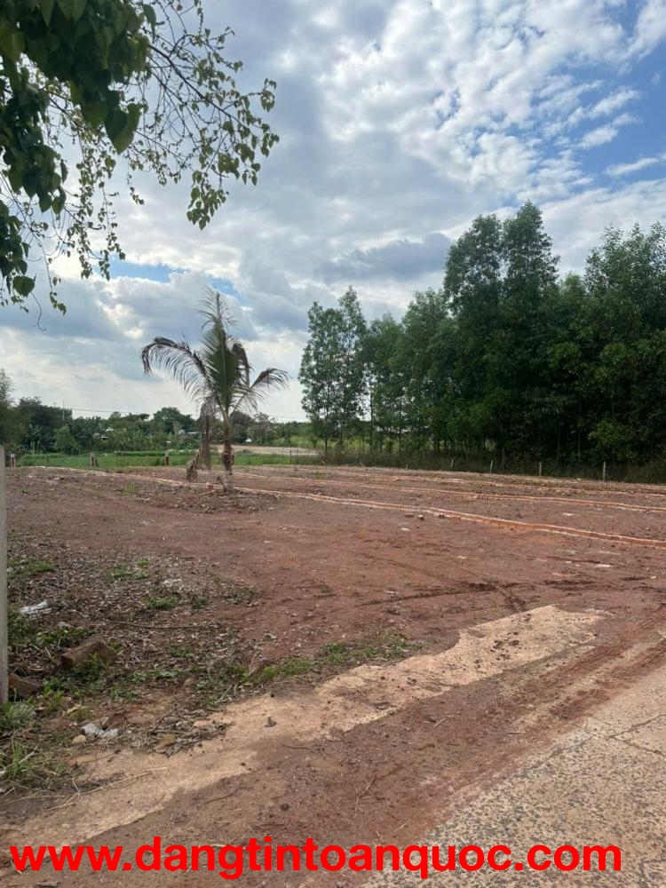 CHỦ CẦN TIỀN BÁN NHANH LÔ ĐẤT  Xuân Lộc, Đồng Nai  – GIẢM SỐC 100TR