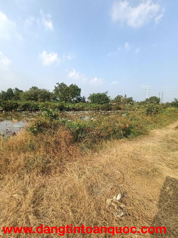 Đất CLN- Đỗ Văn Dậy - Wien Kênh Sáng - Hóc Môn 6600m2 Cạnh Công Viên Tương Lai 27,5 Tỷ