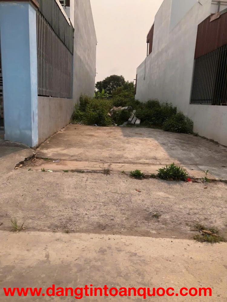 CHÍNH CHỦ BÁN NHANH LÔ ĐẤT ĐẸP – GIÁ TỐT TẠI TIỀN HẢI, THÁI BÌNH