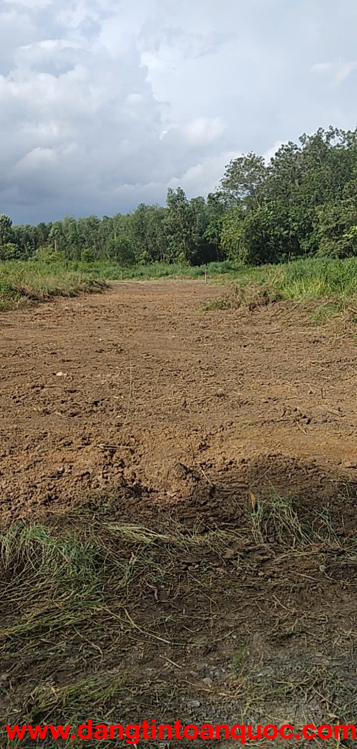 ►  BÁN THÁO LỖ SÂU – LÔ ĐẤT ĐẸP HIẾM TÂN ĐỊNH, BẾN CÁT