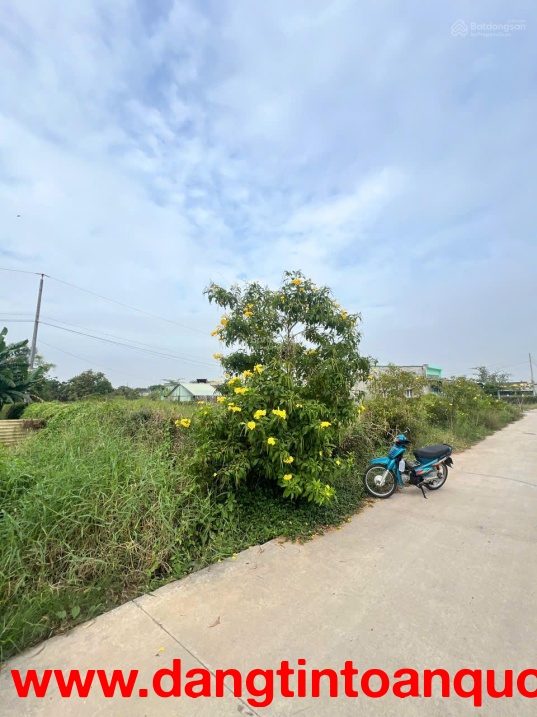 CHÍNH CHỦ HẠ GIÁ, CẦN BÁN GẤP ĐẤT ĐẸP XÃ ĐỨC HOÀ ĐÔNG, GẦN ĐƯỜNG 823D MỞ RỘNG GIÁ CỰC TỐT