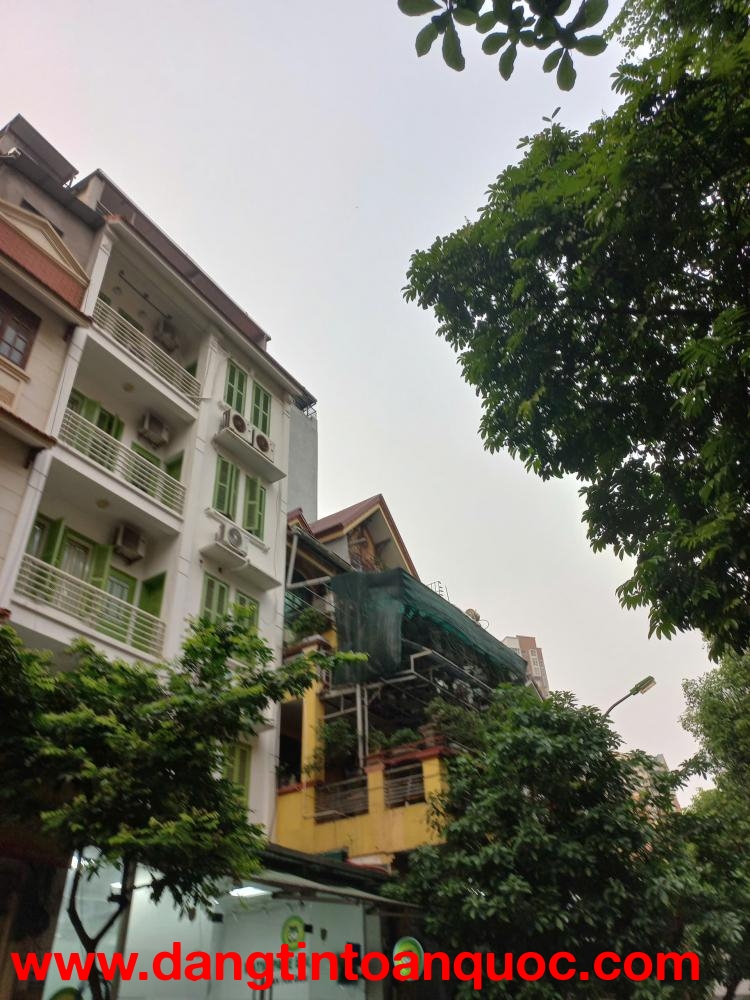 Cho thuê ngõ nhà phố Nguyễn Thị Định, Trung Hòa Nhân Chính giá 45tr