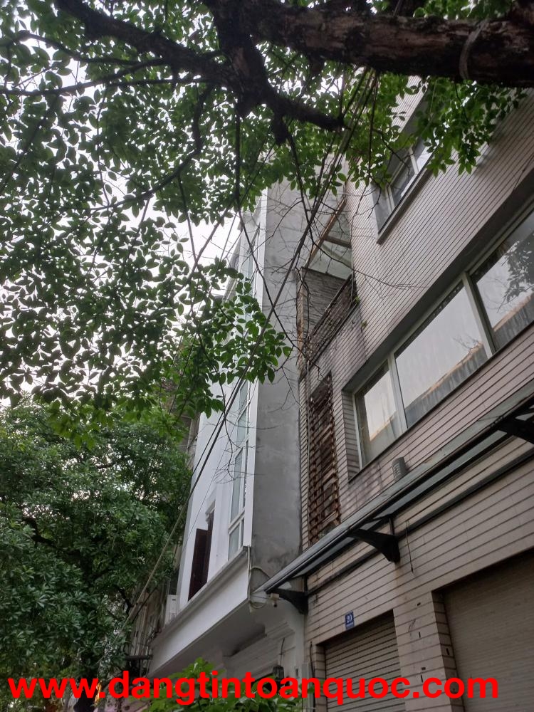 ???? Cho thuê nhà phân lô phố Nguyễn Thị Thập, Trung Hòa Nhân Chính giá rẻ ????