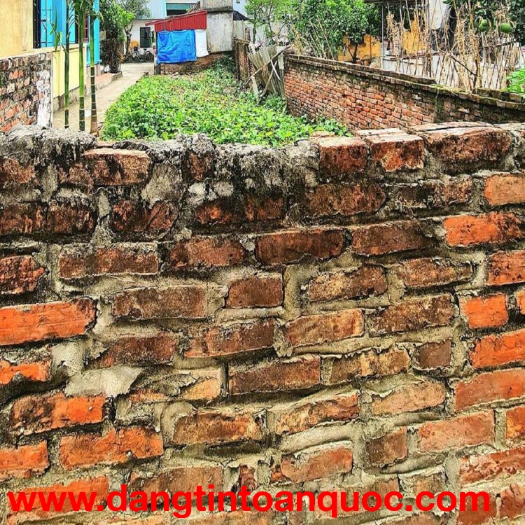 ???? Bán đất 45m2 Trâu Quỳ, Gia Lâm, đường ô tô 16 chỗ chạy thông. LH 0989894845 ????