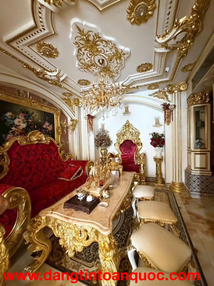 BIỆT THỰ DÁT VÀNG ,NỘI THẤT MỚI ,THIẾT KẾ HIỆN ĐẠI CẦN CHO THUÊ ,QUẬN 7 ,TPHCM