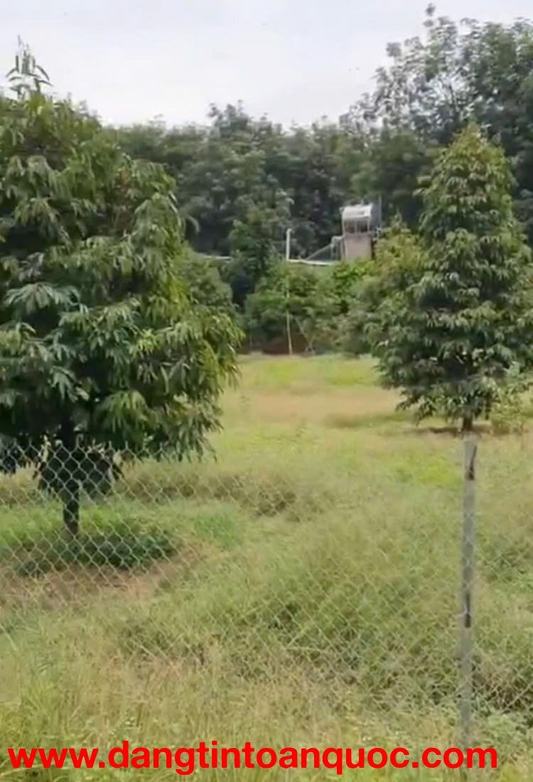 BÁN VƯỜN MÍT TẠI ĐỒNG NAI MỚI DT 5.891M2 SHR CHỈ 50TR/1000M2. LH:0869560747