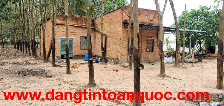 BÁN NHÀ & ĐẤT GẦN TỈNH LỘ 15 – AN NHƠN TÂY, TP.HCM