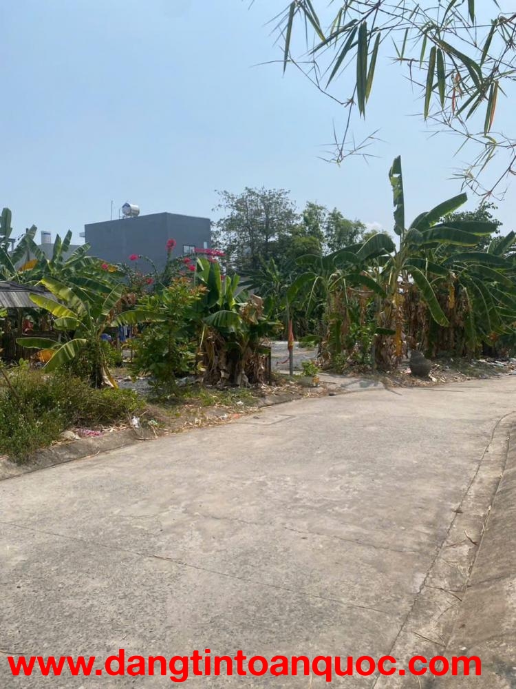 bán Gần 1900m2 đất  Trung Tâm đường Đặng văn bi ,  P.bình thọ thủ đức .giá chỉ 35tr/m2