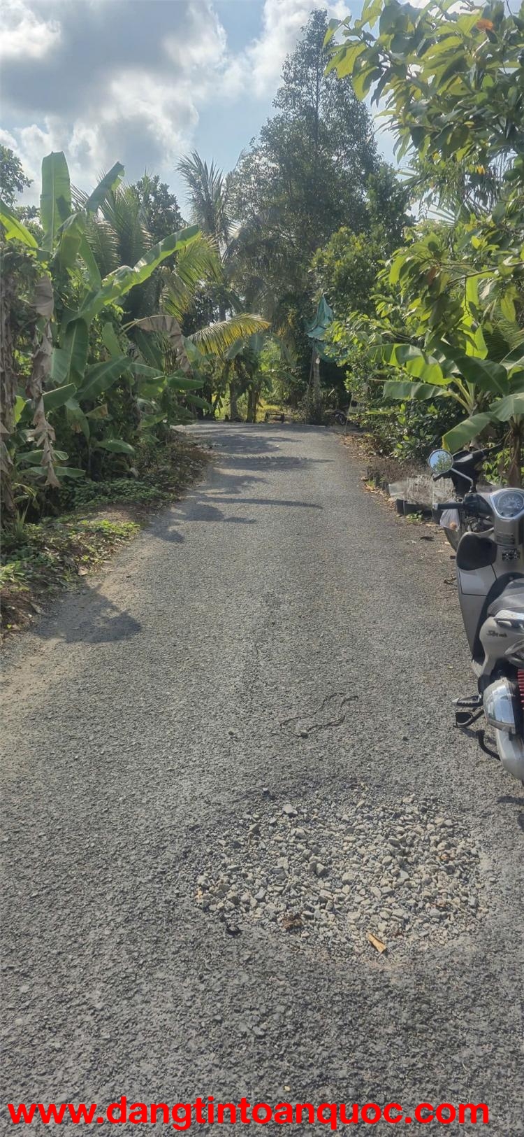 Đất Chính Chủ Mặt Tiền Đường Nhựa Ấp Phú Trí B1, Xã Phú Hữu, Châu Thành - Hậu Giang