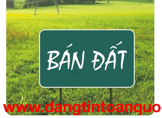 Bán lô đất 100m2 Mặt Tiền Đường Phù Lưu - phường Quảng Thắng - TP Thanh Hoá.