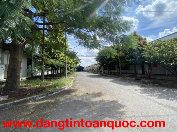 XT094 cho thuê nhà xưởng sản xuất ưu tiên may mặc, trống xưởng bàn giao hoạt động liền