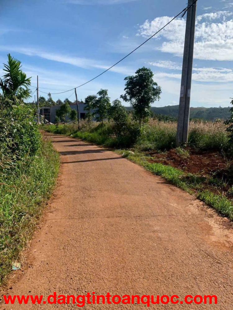 CHÍNH CHỦ CẦN BÁN LÔ ĐẤT ĐẸP – THÔN 6, ĐẮK HA   - ĐĂK NÔNG