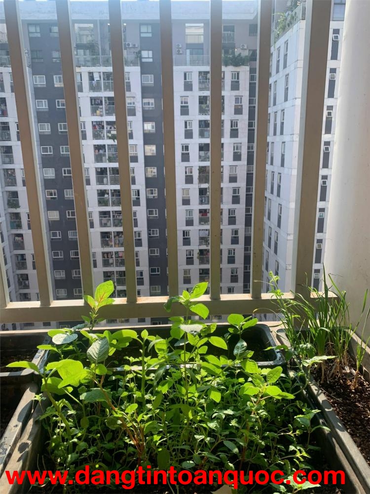 NHÀ ĐẸP – GIÁ TỐT – CẦN BÁN GẤP – Chung cư Sky 9 , P.Phú Hữu, TP.Thủ Đức, TP.HCM