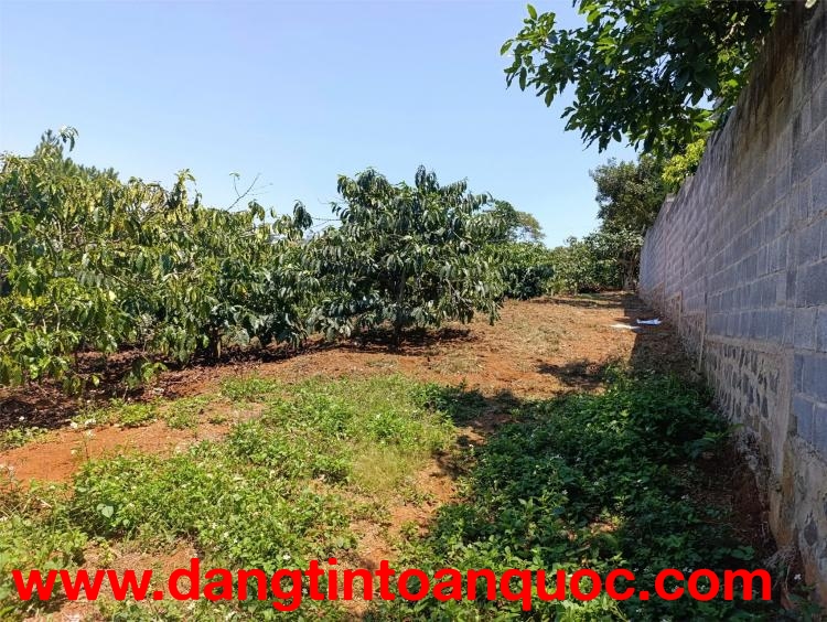 CHUYỂN ĐỔI ĐẦU TƯ EM XIN TRAO LẠI LÔ ĐẤT ĐẦU TƯ ĐẸP TẠI TRUNG TÂM Thị Trấn Di Linh