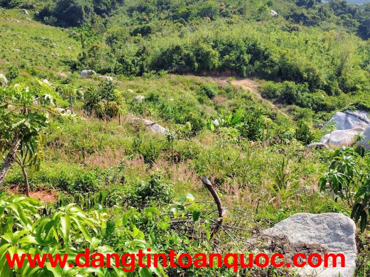 ĐẤT ĐẸP – GIÁ TỐT – CẦN BÁN GẤP LÔ ĐẤT – Thôn Quãng Phú – Xã Cam Hiệp – Huyện Cam Lâm – Khánh Hòa