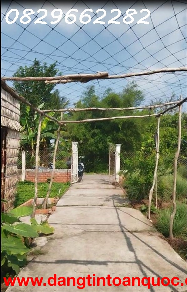 Bán Đất Thổ Cư 864m2 Sổ Hồng đường Nguyễn An Ninh Tân Quy Đông, Sa Đéc, Đồng Tháp, giá 2.5 Tỷ