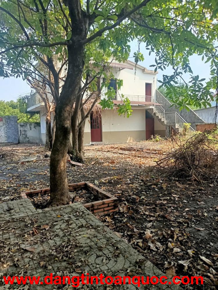 bán Gấp Lô Đất 2 Mặt tiền đường Đặng Thị Sữa và Nguyễn Thị Sương xã Tân Thạnh Tây - Củ Chi