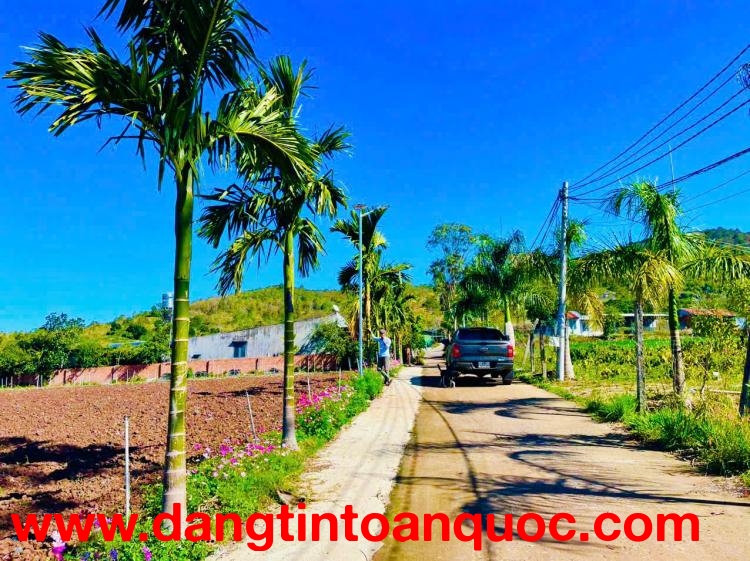 725TR - Đón đầu nút giao cao tốc -  Đất thổ cư ven Đà Lạt chỉ còn tính bằng ngày