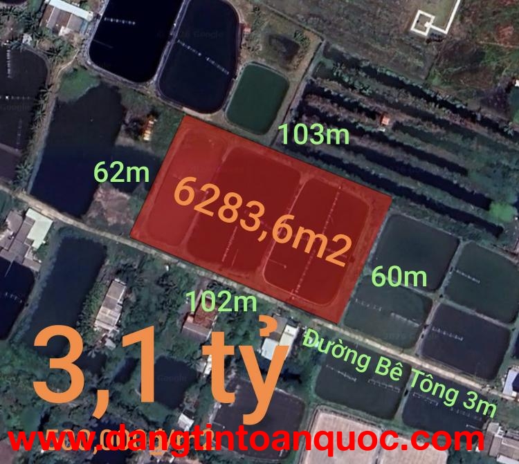 Bán gấp lô lúa chuyển thổ phân lô giá đầu tư 3,1 tỷ