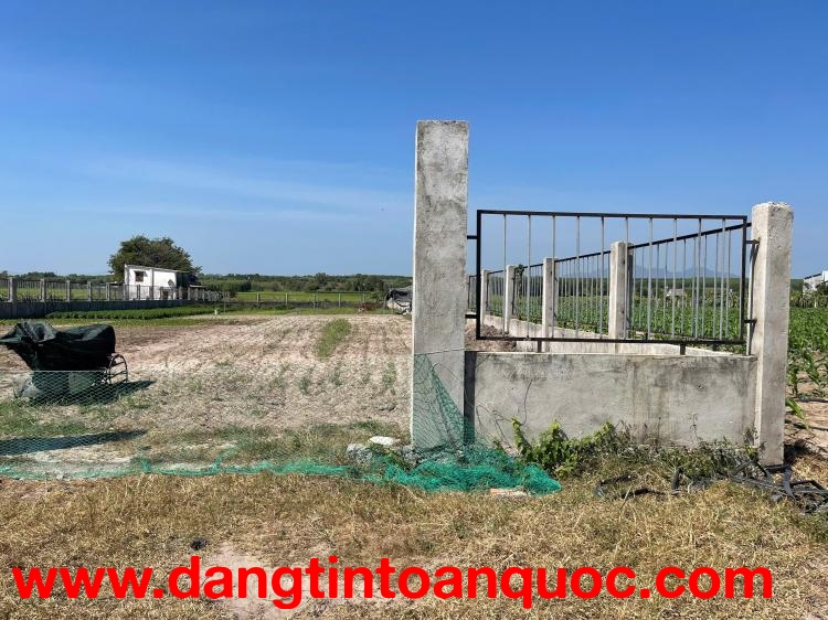 Bán 1003m2 đất Hẻm Nguyễn Minh Châu - Tân Tiến - LaGi giá rẻ tặng bản vẽ 3D