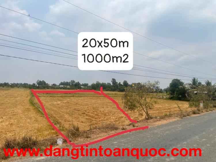 CHÍNH CHỦ BÁN 1000m2 ĐẤT THỔ CƯ – GIÁ TỐT TẠI LONG AN