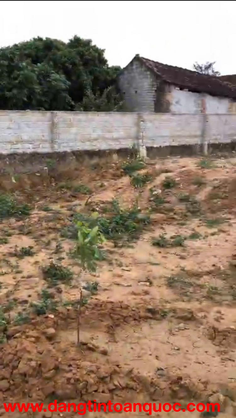 CÔNG TY CHÚNG TÔI CẦN CHO THUÊ ĐẤT , LẠNG GIANG , BẮC GIANG