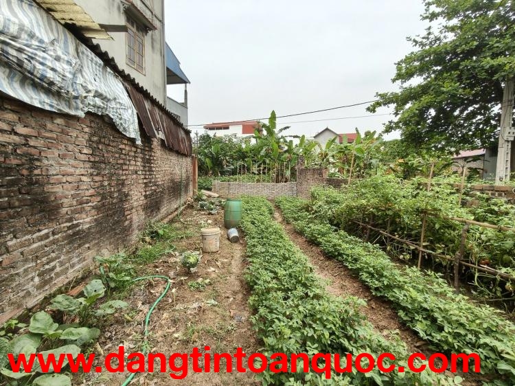 Đất Thụy Lâm 90m2, mt5m, 6.5 tỷ, ô tô, Đông Anh