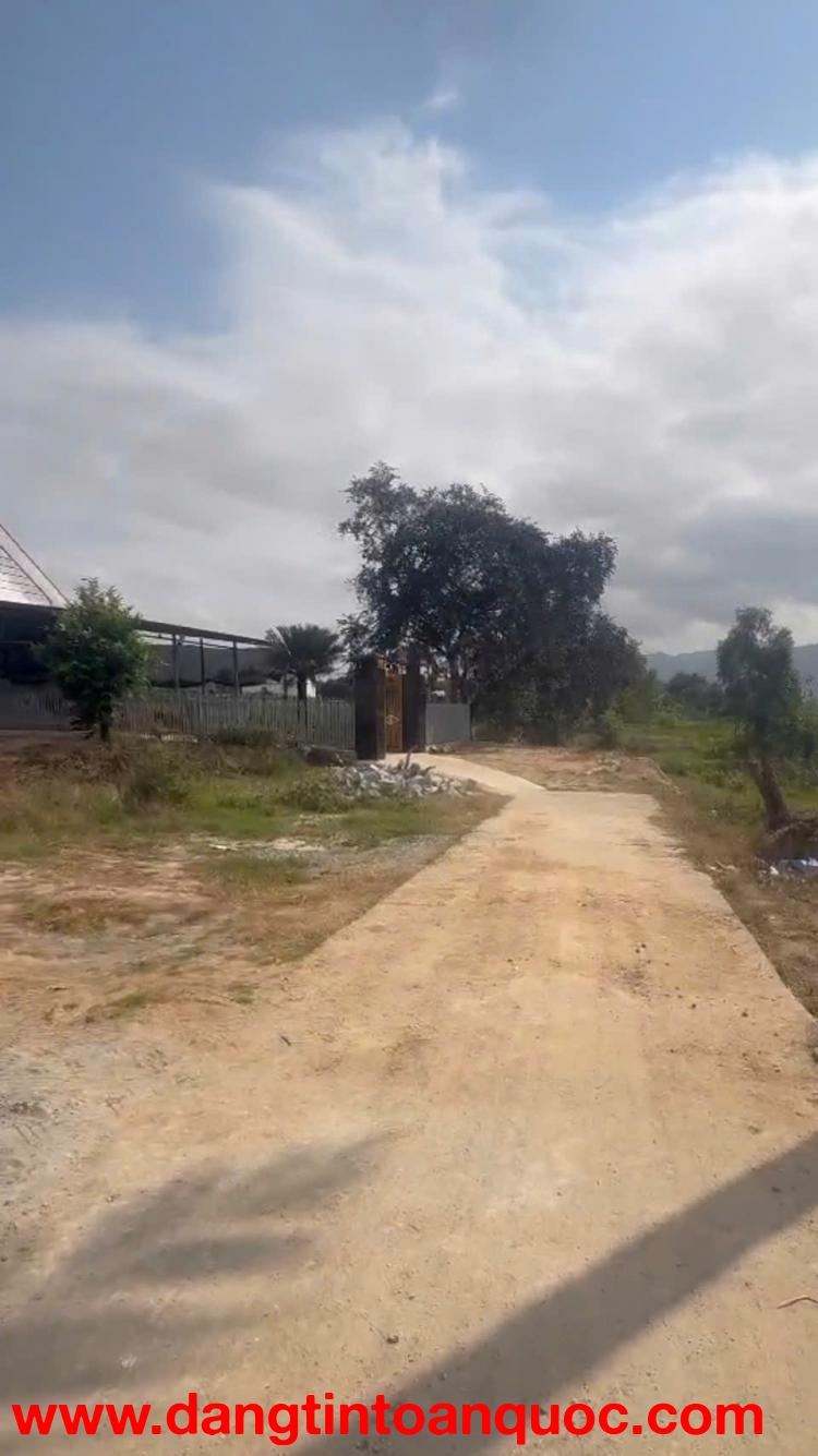 BÁN ĐẤT DIÊN THỌ ,DIÊN KHÁNH , KHÁNH HÒA , DIỆN TÍCH 1400M2 , GIÁ CHỈ 640TR