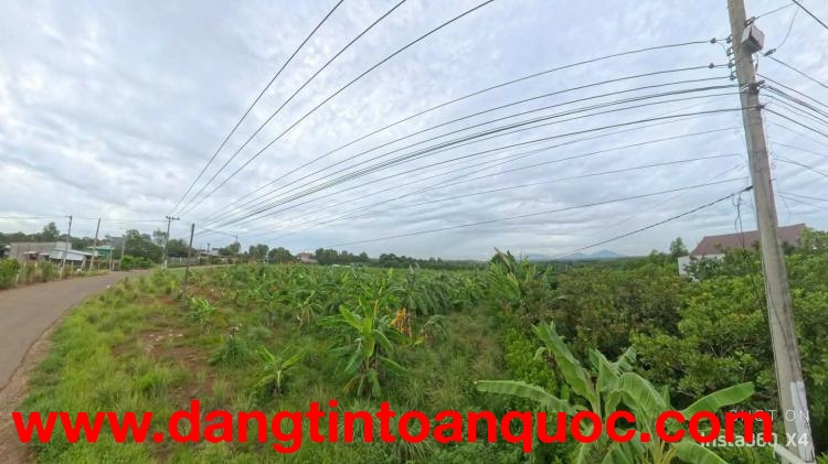 Bán Lô Đất nằm sau sân bay long thành, Đồng Nai.