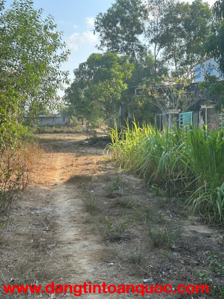 Bán 825m2 đất Hẻm Lê Văn Tám, Tân An, LaGi giá rẻ nhất sổ riêng