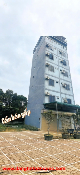 Bán đất chính chủ tại Xã Cổ Đông, Sơn Tây, Hà Nội, 30 triệu/m2, S= 100 m2 full thổ cư