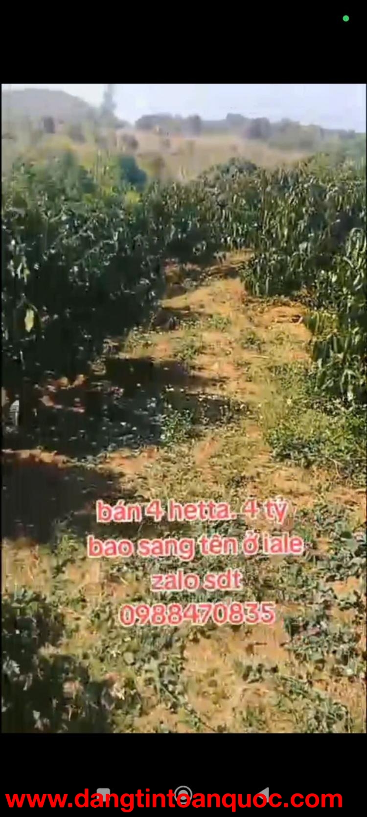 ĐẤT ĐẸP – GIÁ TỐT – CẦN BÁN GẤP LÔ ĐẤT VỊ TRÍ ĐẸPTẠI – Ia Le – Huyện Chư Pưh – Tỉnh Gia Lai