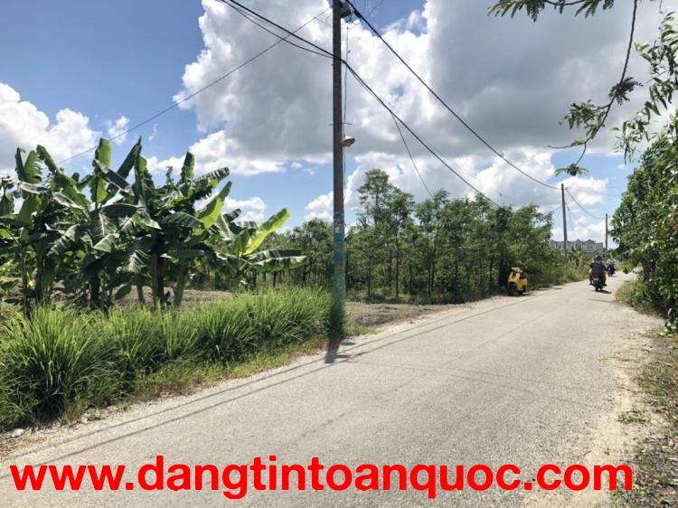 CẦN BÁN 2488M2 ĐẤT VƯỜN MT ĐƯỜNG NHỰA