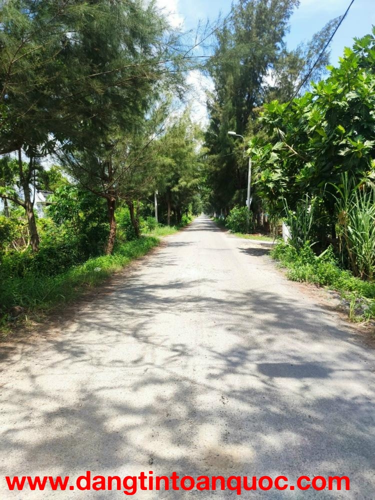 CẦN BÁN 1HA ĐẤT LÚA ĐƯỜNG ĐÊ SỐ 3