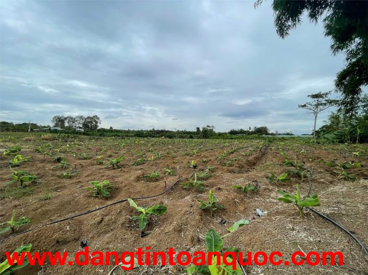 CƠ HỘI ĐẦU TƯ SIÊU HẤP DẪN - CẦN BÁN GẤP ĐẤT – GIÁ NGỘP HIẾM CÓ TẠI Sông Ray, Cẩm Mỹ