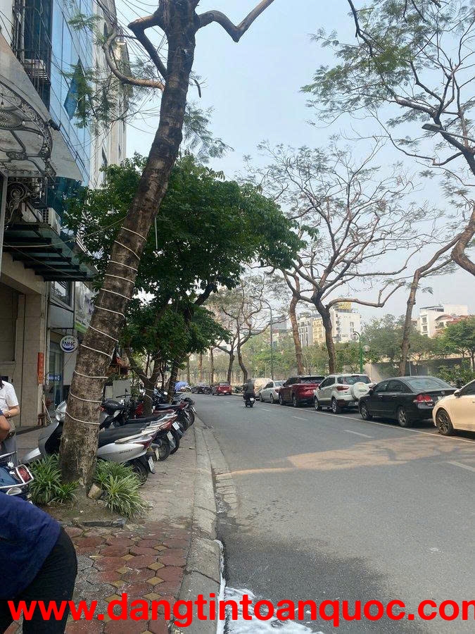 CẦU GIẤY – LÔ ĐẤT 230M² MẶT TIỀN 15M – HÀNG HIẾM “KHÔNG CÓ LẦN 2” – GIÁ CHẠM ĐÁY KHU VỰC