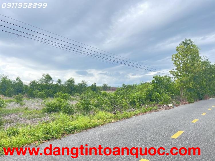 Bán 1000m2 đất mặt tiền Lê Quang Định, LaGi gần Biển giá ngộp