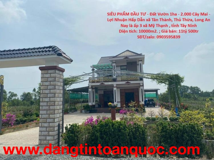 SIÊU PHẨM ĐẦU TƯ - Đất Vườn 1ha - 2.000 Cây Mai - Lợi Nhuận Hấp Dẫn xã Tân Thành, Thủ Thừa, Long An