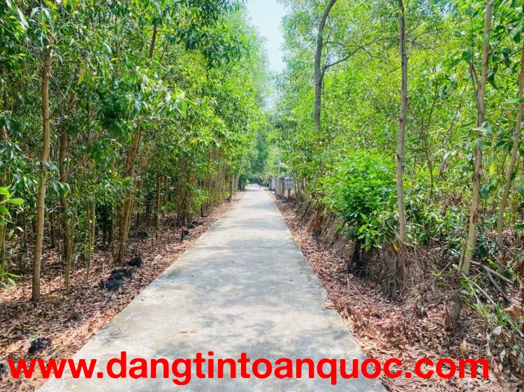 Bán 283m2 đất thổ cư Hẻm Quốc Lộ 55, Tân Thiện, LaGi giá rẻ nhất 1.2 tỷ